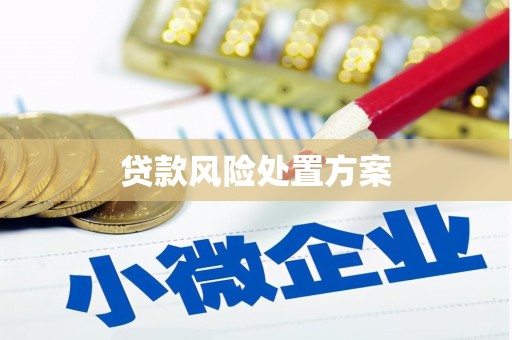 克山贷款风险处置方案