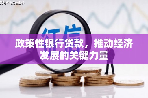 克山政策性银行贷款，推动经济发展的关键力量