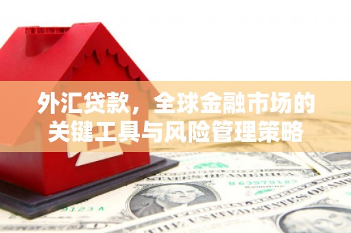 克山外汇贷款，全球金融市场的关键工具与风险管理策略