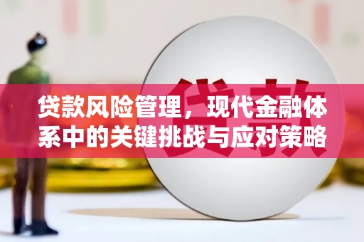 克山贷款风险管理，现代金融体系中的关键挑战与应对策略