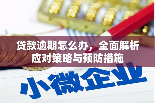 克山贷款逾期怎么办，全面解析应对策略与预防措施