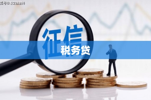 克山税务贷
