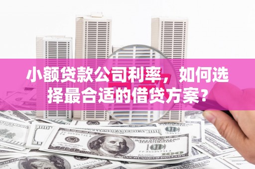 克山小额贷款公司利率，如何选择最合适的借贷方案？