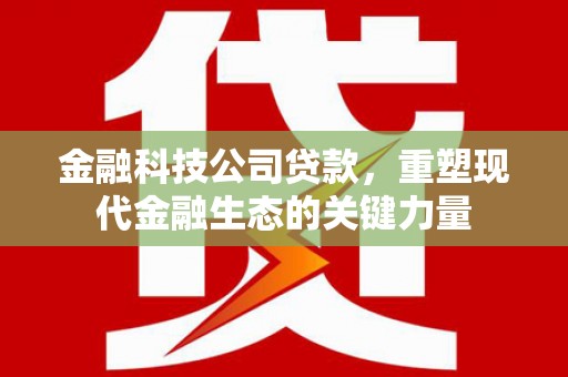 克山金融科技公司贷款，重塑现代金融生态的关键力量