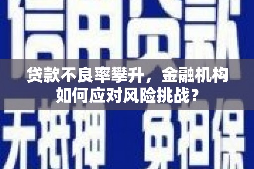 克山贷款不良率攀升，金融机构如何应对风险挑战？