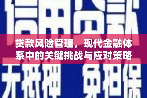 克山贷款风险管理，现代金融体系中的关键挑战与应对策略
