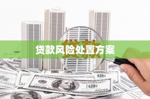 克山贷款风险处置方案